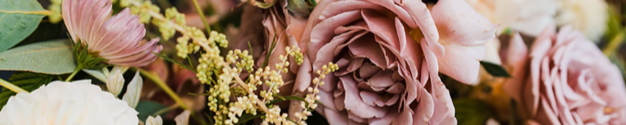 Cover photo for Irma Gonzalez's Obituary