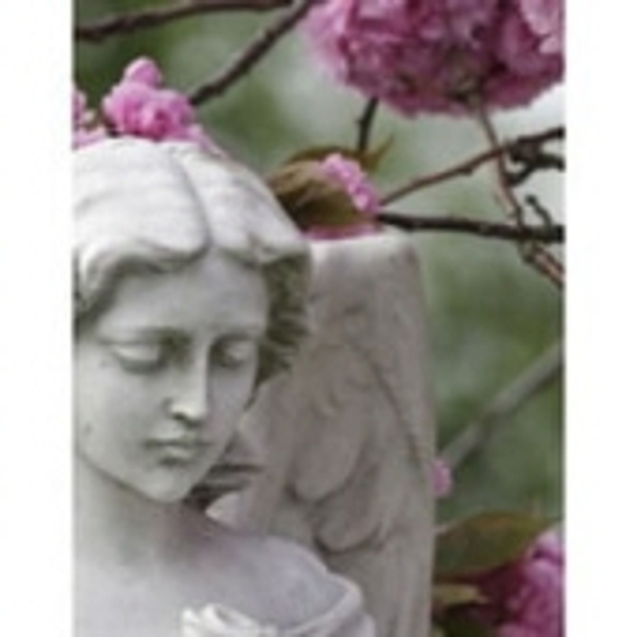 Lois Arlene Malott photo gallery image 2 of 2