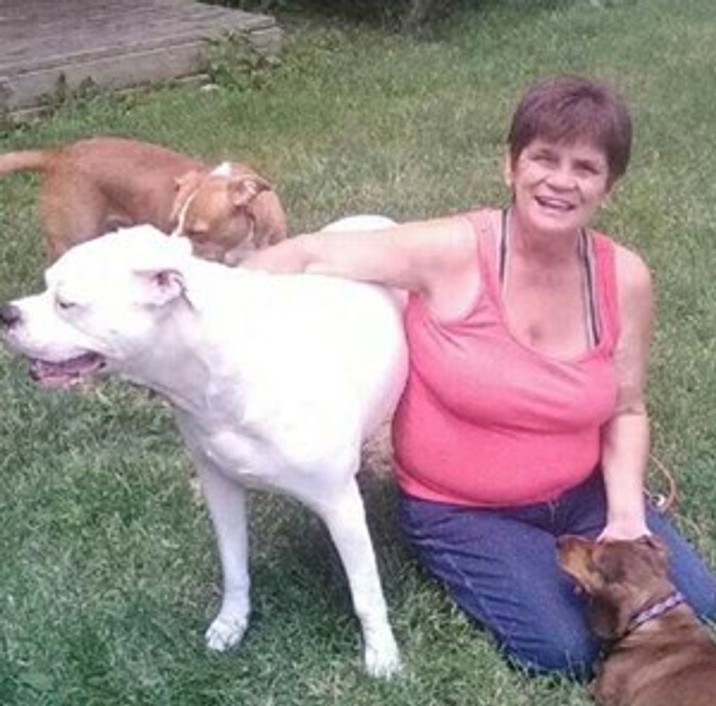 Cathy Ann Orris