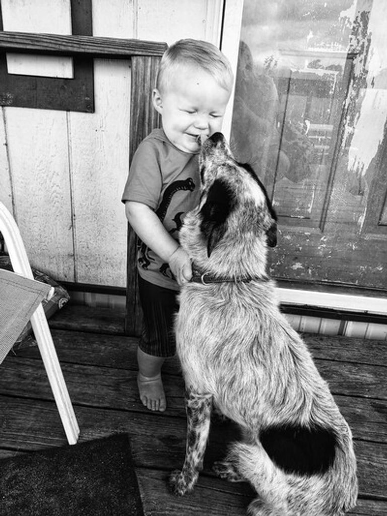 Koulter Case Mcbride Profile Photo