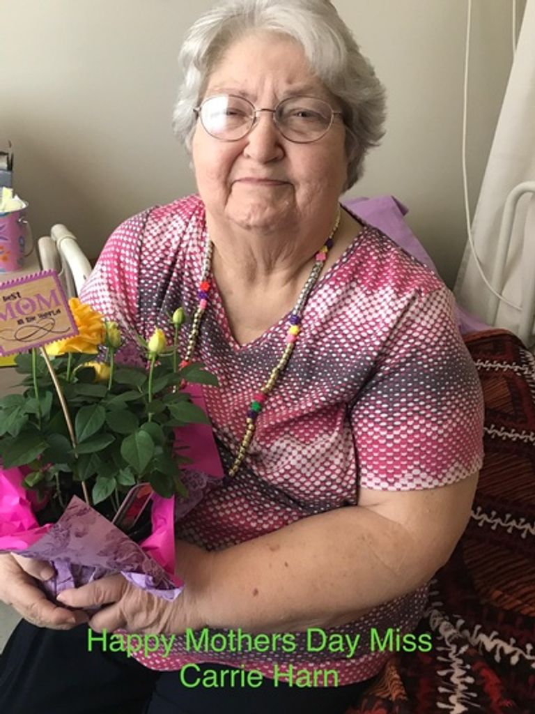 Carrie V. Harn Profile Photo
