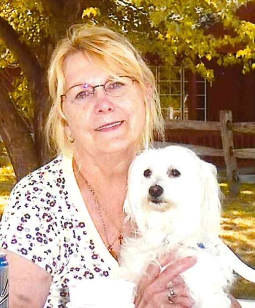 Phyllis B. Haladyna Profile Photo