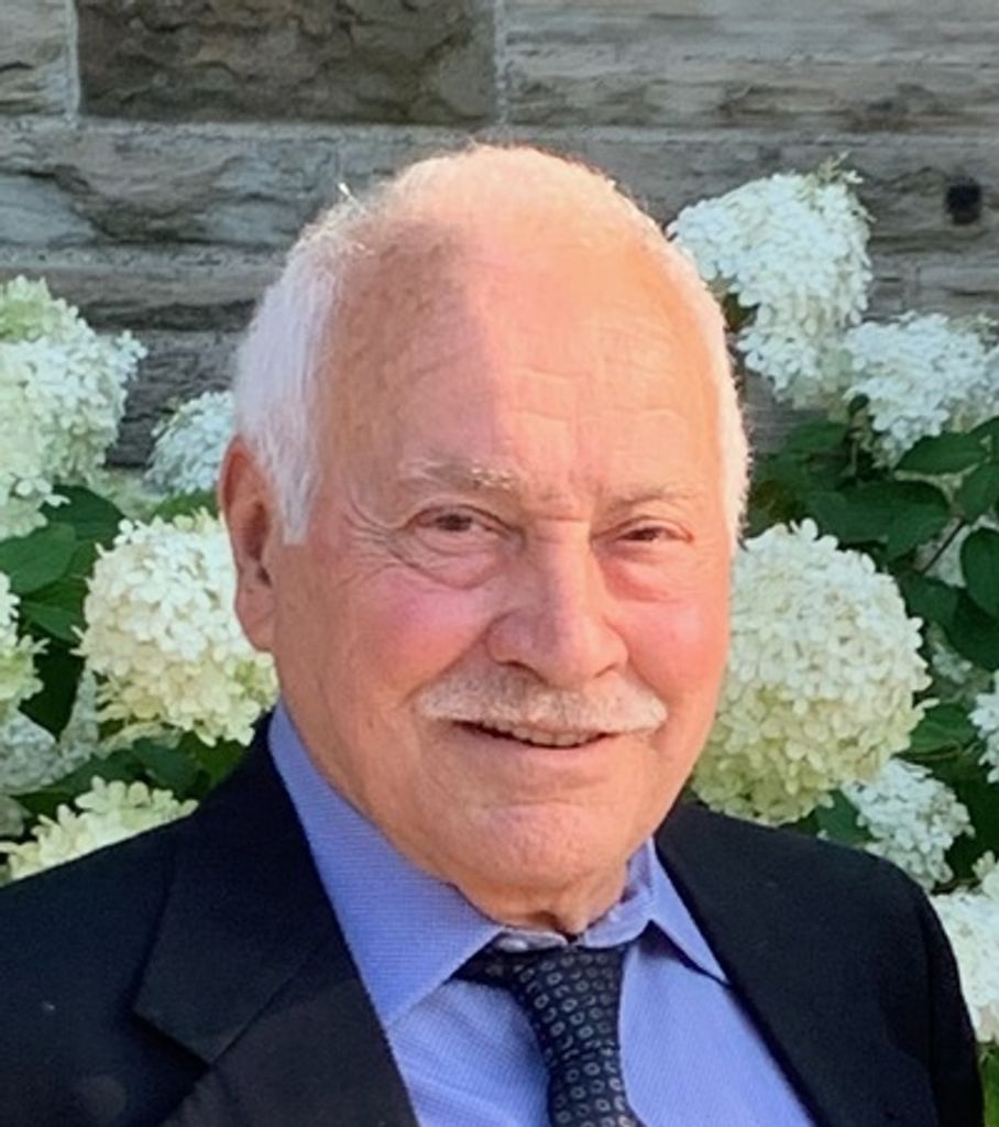 Domenico Luca, Sr. Profile Photo