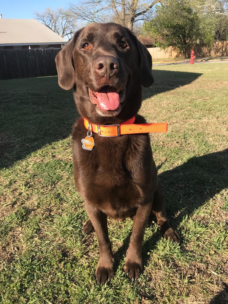 Duke Profile Photo