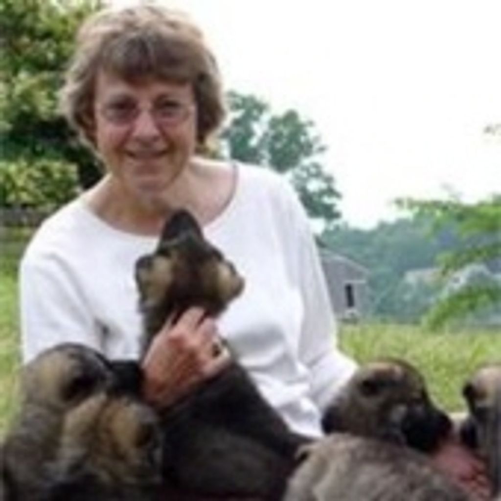 Lisa Benedict Mccray