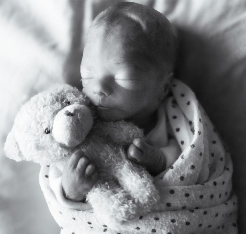 Wrenley Mae Horton Profile Photo
