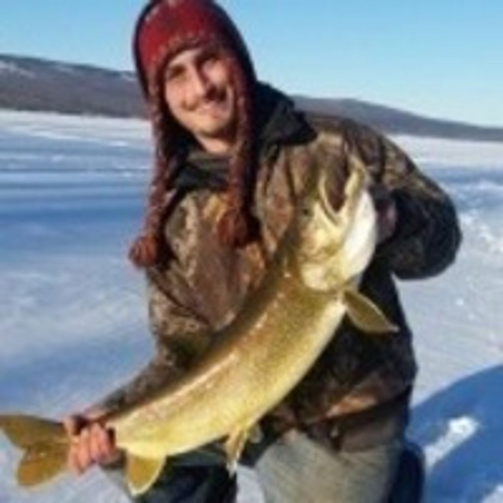 Kyle F Pulsifer