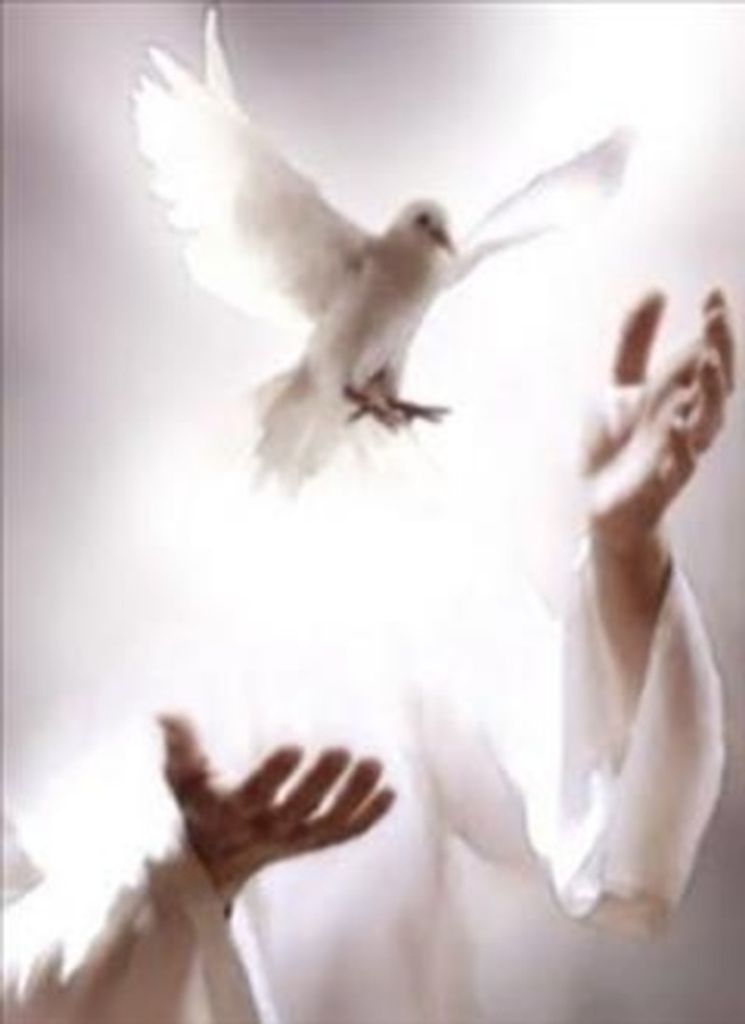 John Henry Buxton Profile Photo