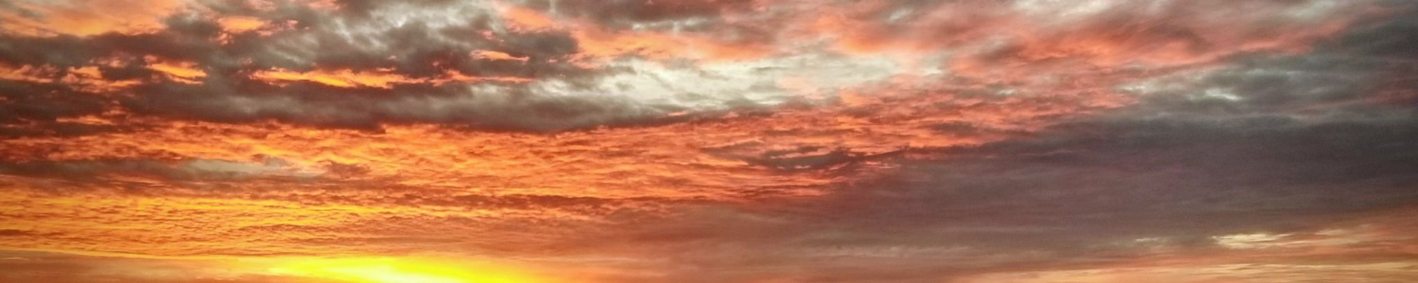 Cover for Gloria Neal's Obituary