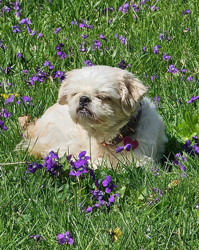 Flossy Mae Gallimore Profile Photo