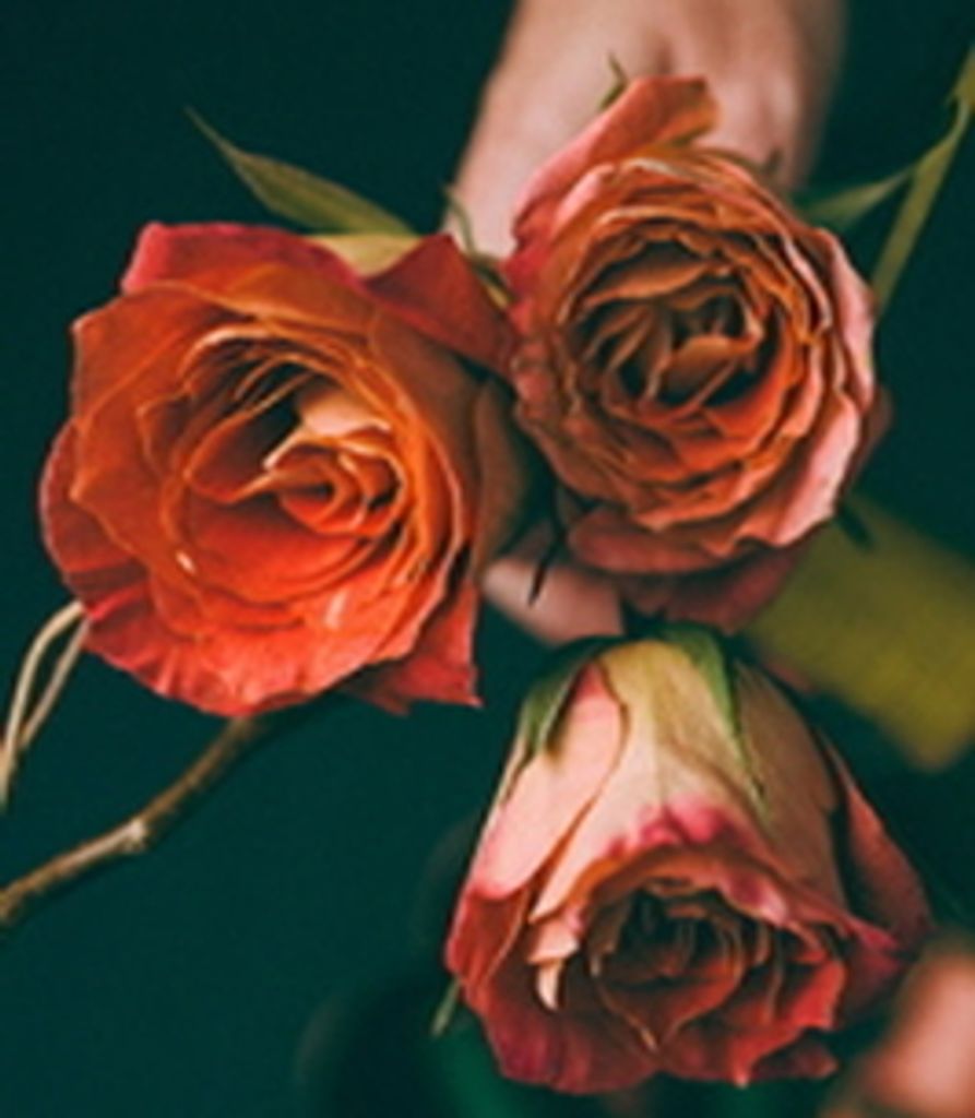 Andrea Johnson Profile Photo