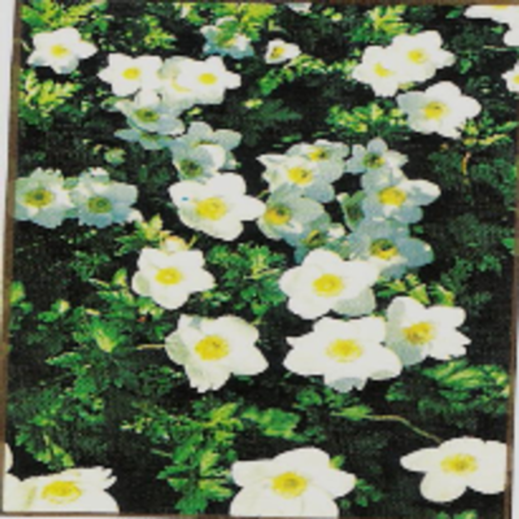 Marion E. Brown Profile Photo