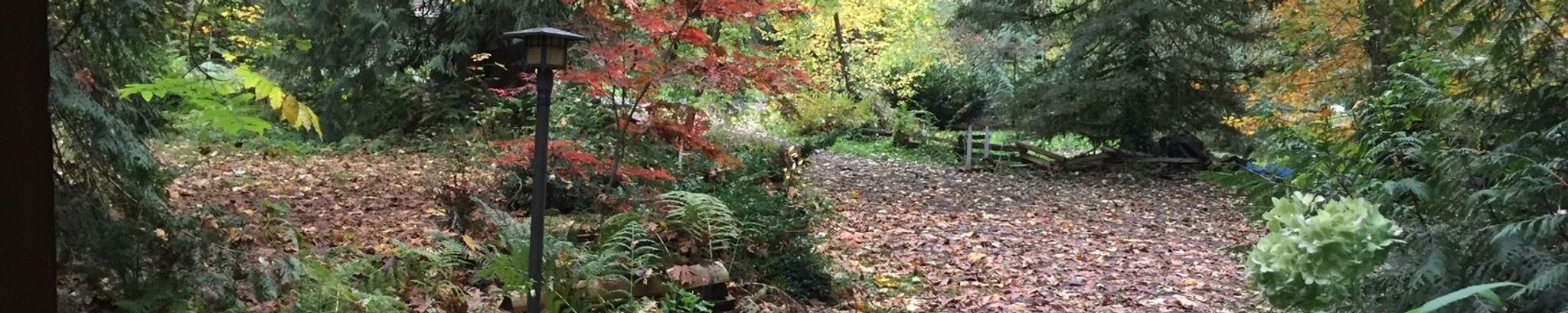 Cover for Sandra Kay Pellens-Meinhard's Obituary