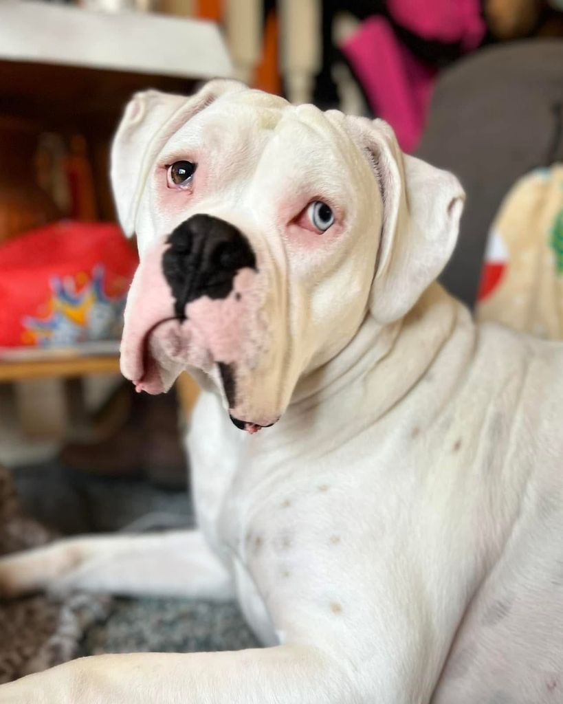 Harley Van Egmond (Bubby)