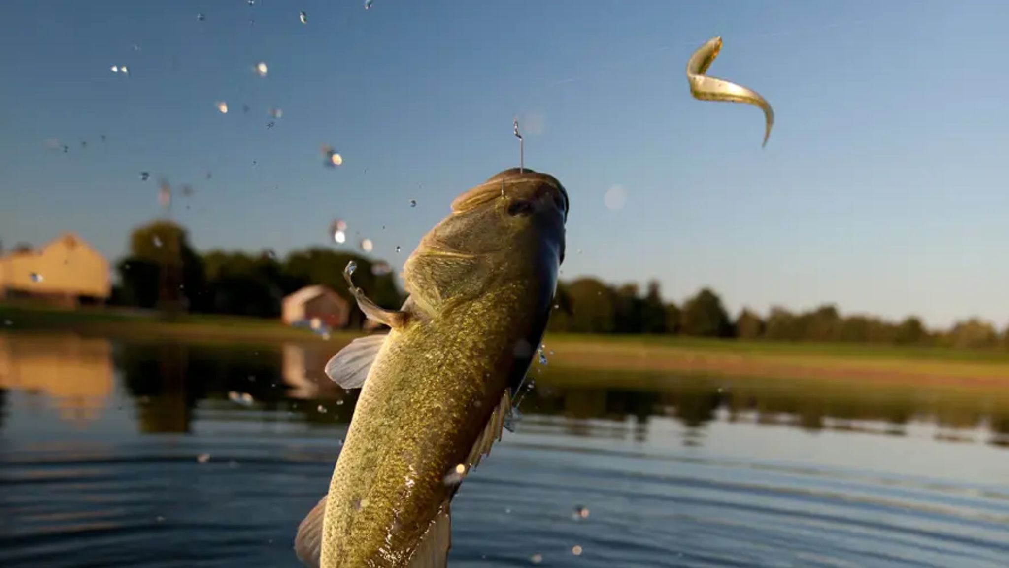 Cover for Larry Jerome Wilson's Obituary