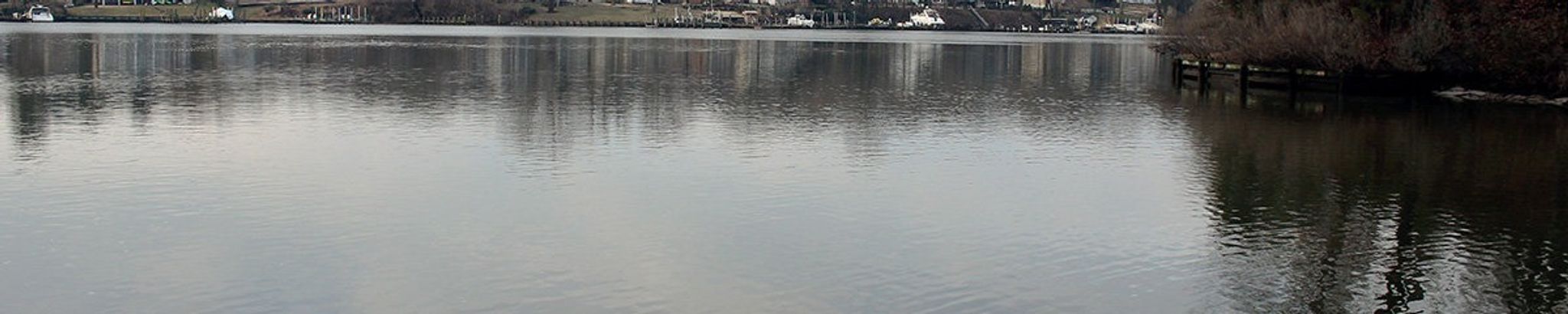 Cover for Ronald Hamilton Renoff's Obituary