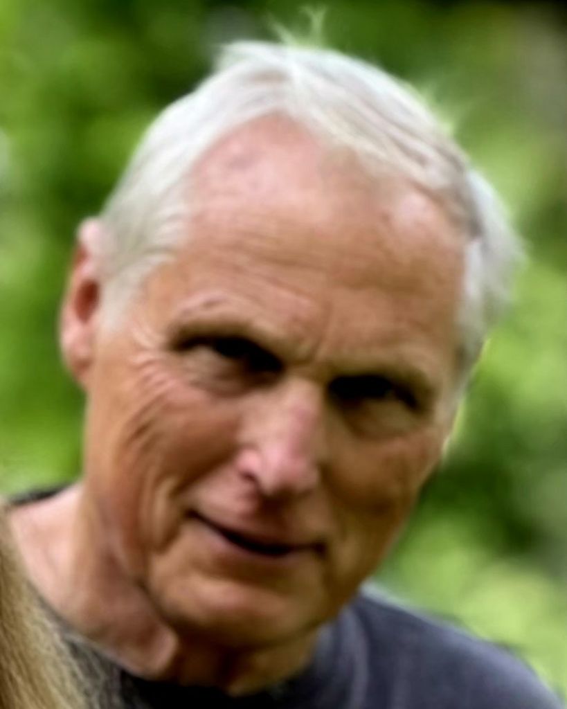 Dana Stearns Cushing Profile Photo