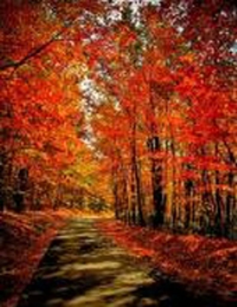 Robert Steven "Steve" Bordner