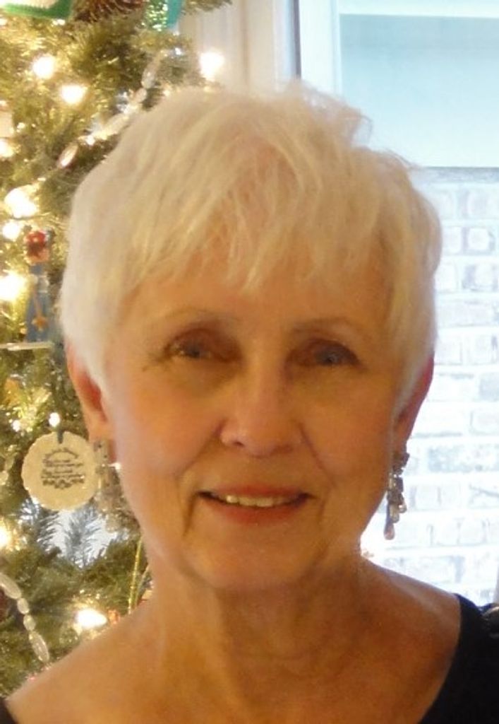 Joyce Ann (Collins)  Ovaert Profile Photo