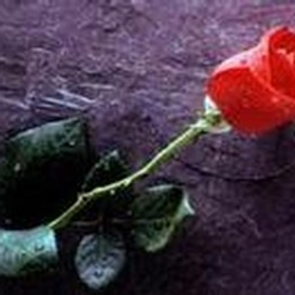 Shirley Hull Profile Photo