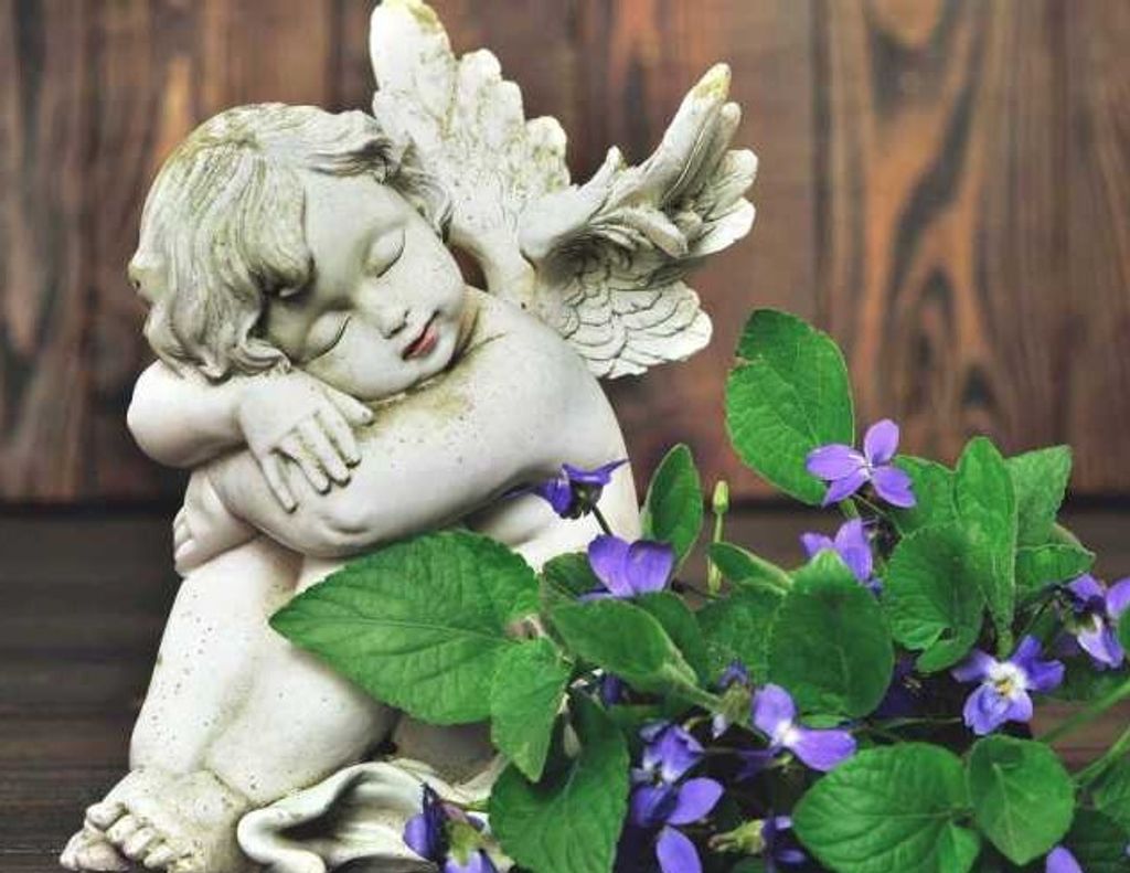 Rae S Steed Profile Photo