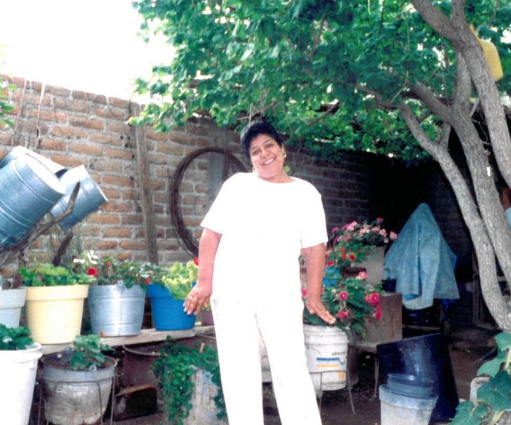 Maria Elena Casillas Guerrero Profile Photo