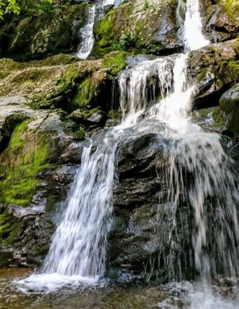 Robert "Squeaky" Orndorff Profile Photo