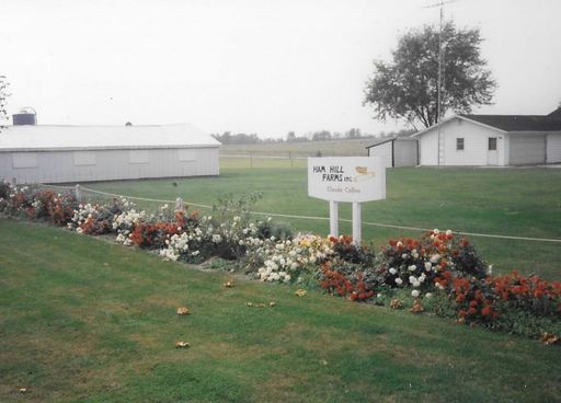Claude D. Collins photo gallery thumbnail 45 of 91