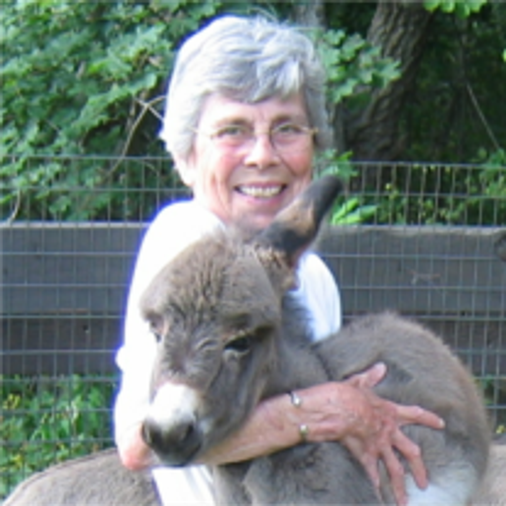 Jeanne G. De Marcken Profile Photo