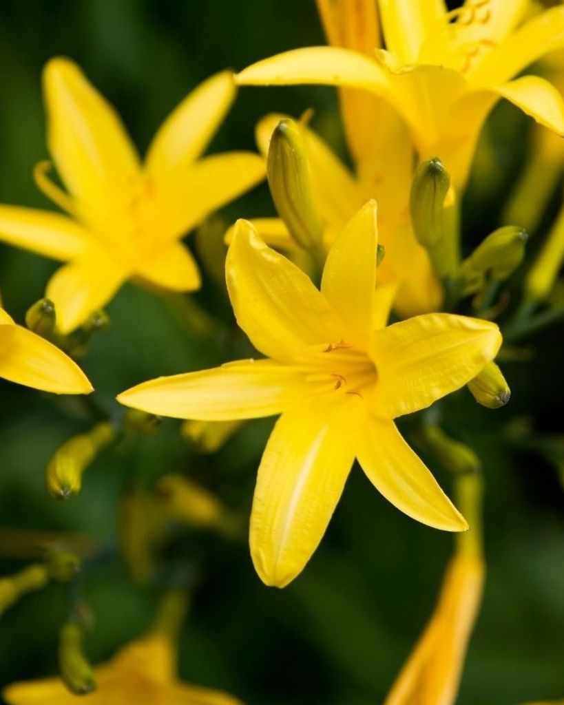 Phillip Lee Sumpter Profile Photo