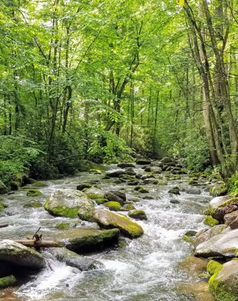 Marshall "Gene" Holsinger Profile Photo