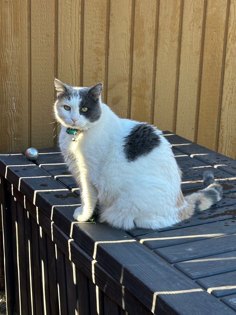 Mia Jo Profile Photo