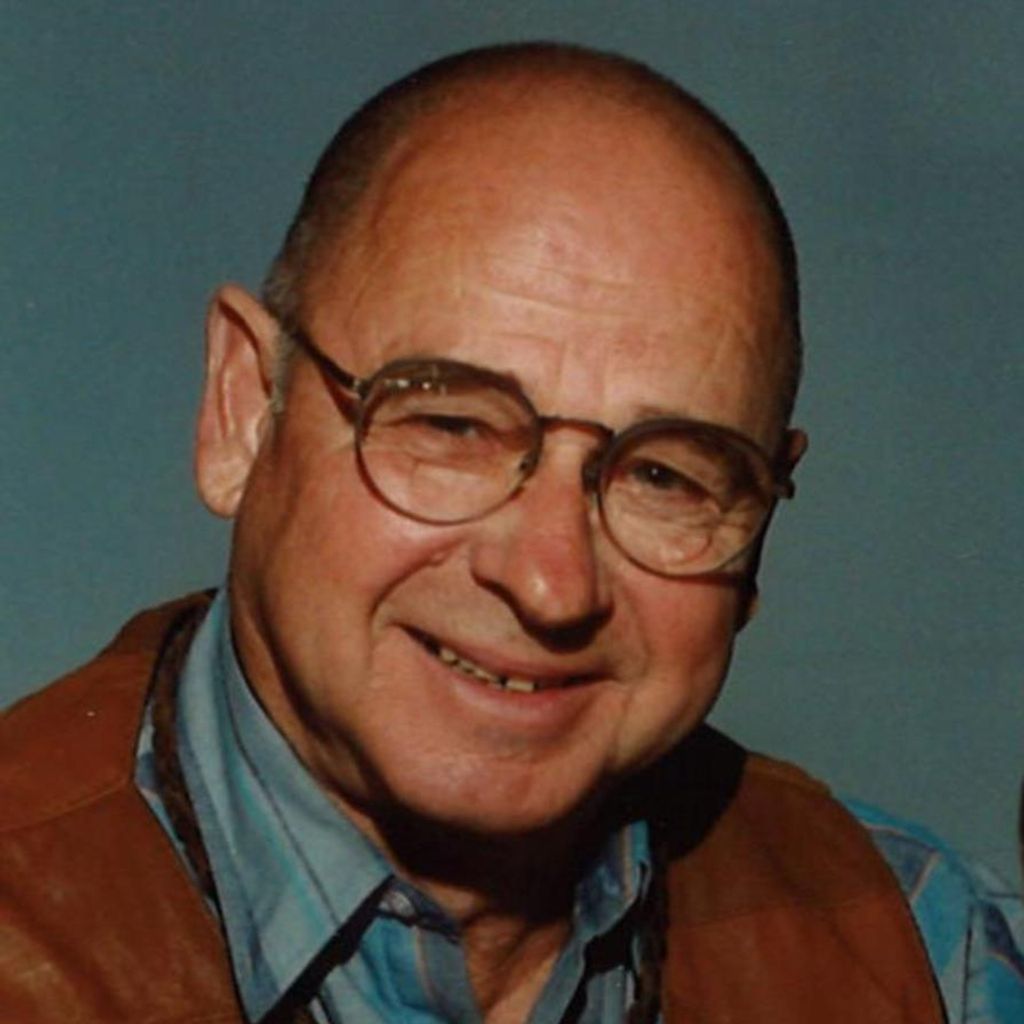 Darloe Vitek