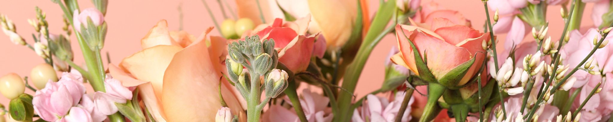 Cover photo for Mary T. Hobson's Obituary