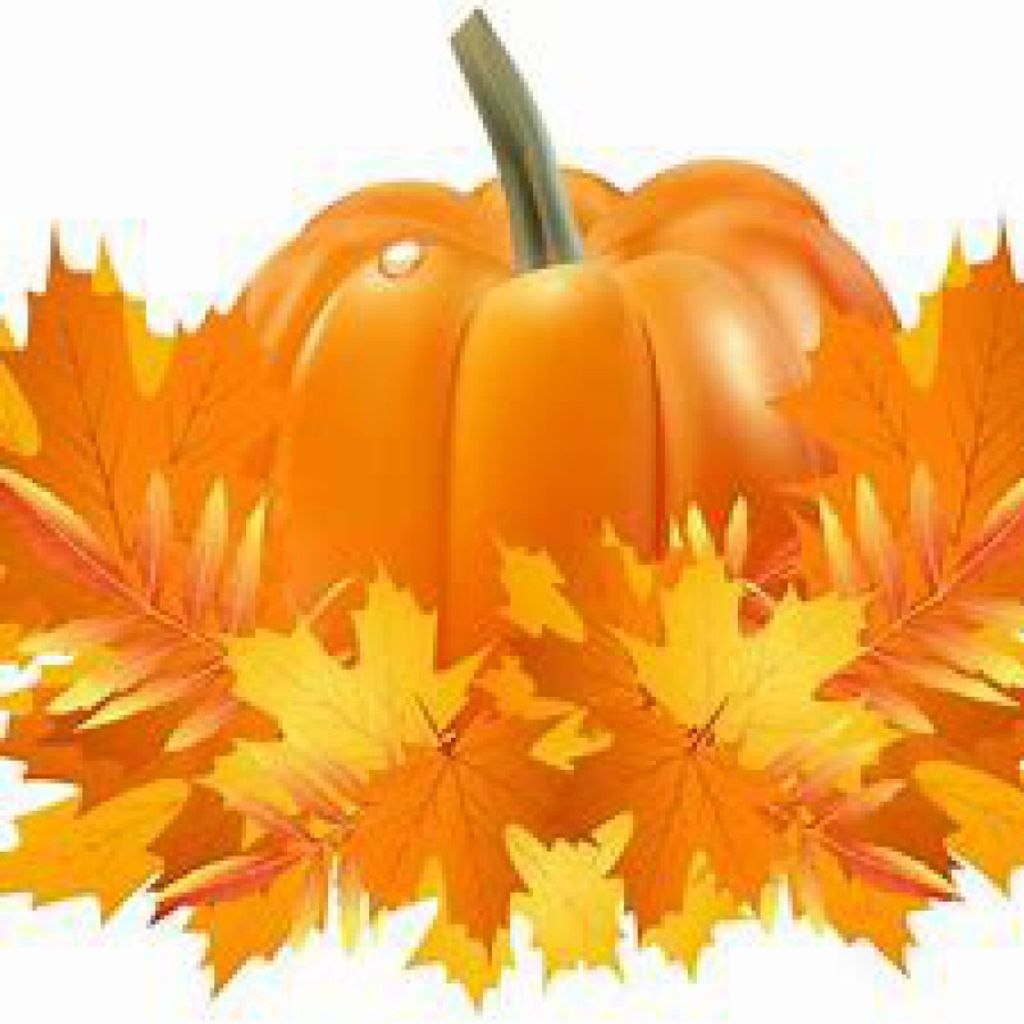 Sarah M. Stoudt Profile Photo