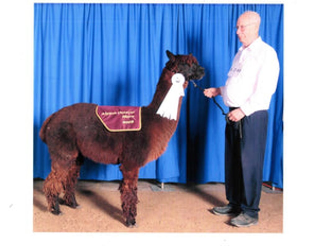 William Sewell Profile Photo