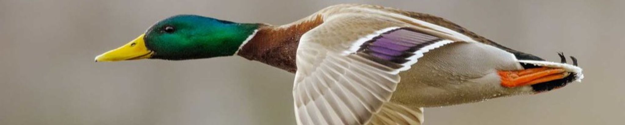 Cover photo for Tory Goodwin's Obituary