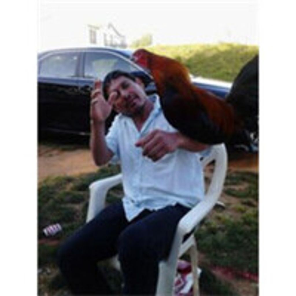 Jose Ruiz Navarro