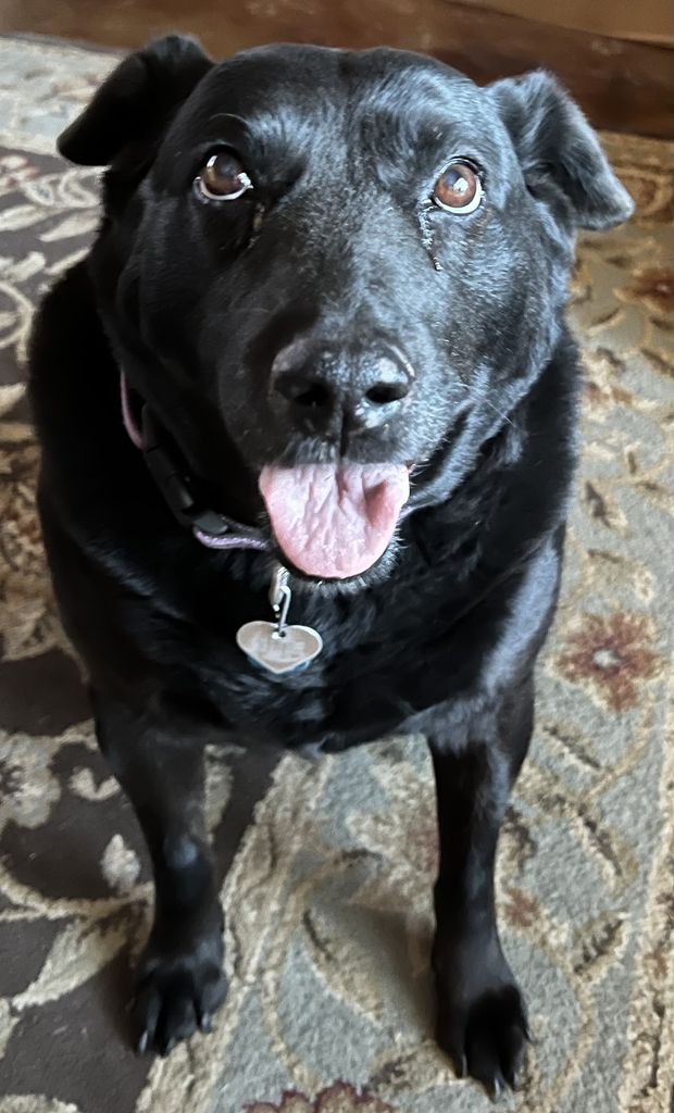 Kiki Profile Photo