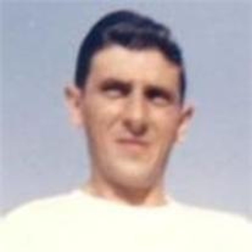 Nickoli Joseph Bassi