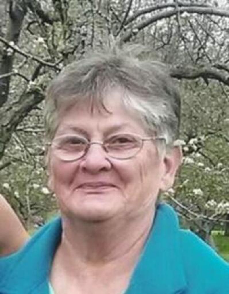 Donna Rae Ward Profile Photo