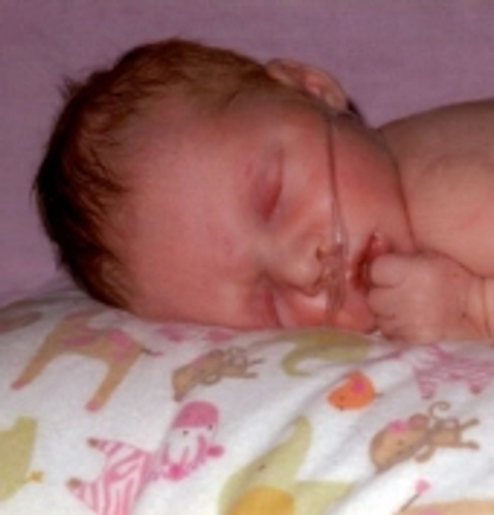 Harper Janiece Streblow