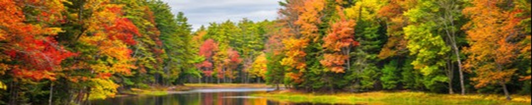 Cover for Martin H. Butler's Obituary