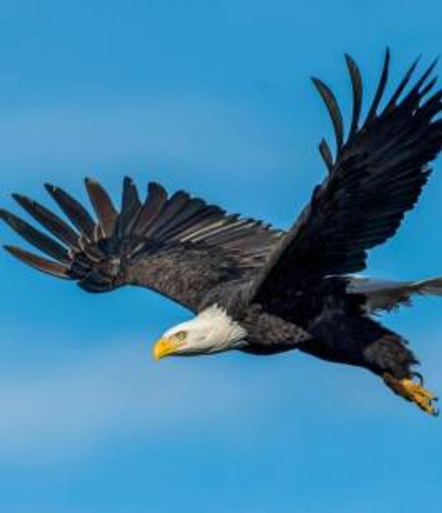 Earl Mckay Profile Photo