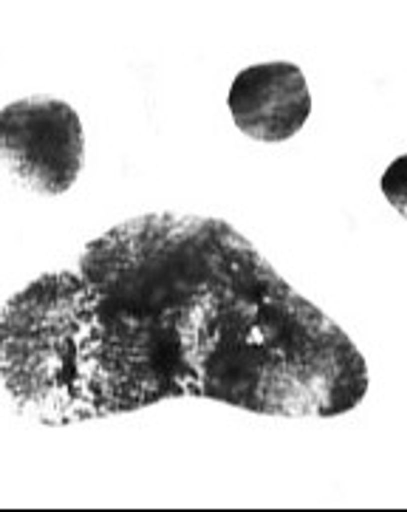 Briar Turner Profile Photo