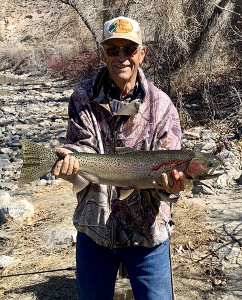 Larry Vernal Hopkins