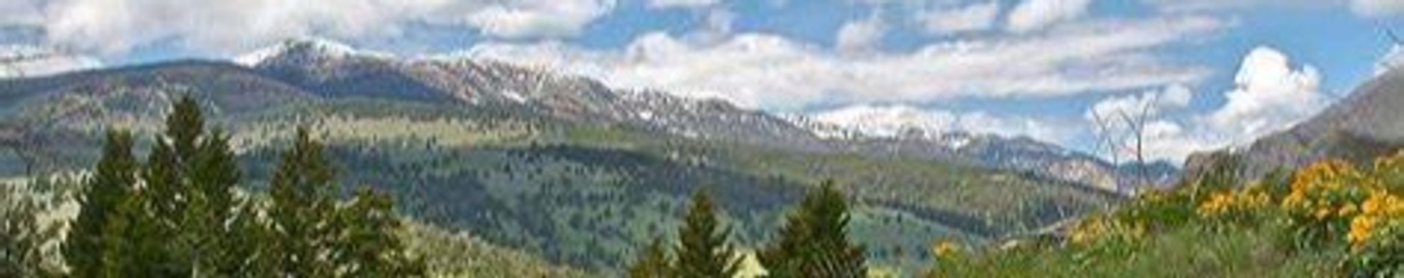 Cover for Henry A. Rate's Obituary