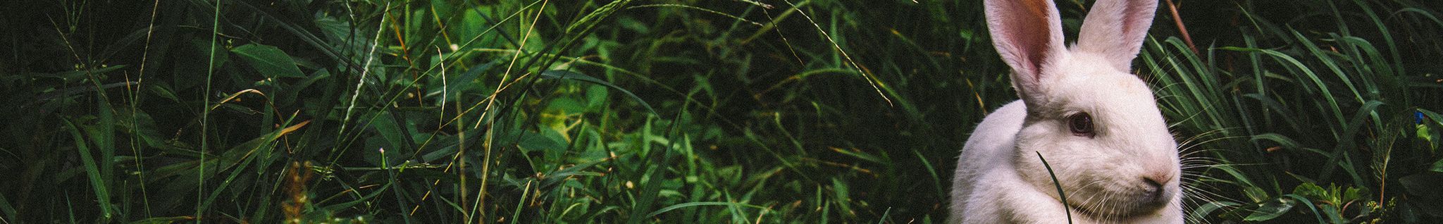 Cover photo for George Hargrove's Obituary