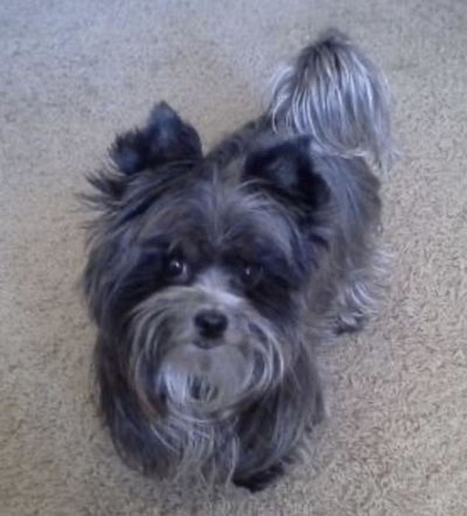 Michael Van Darst Profile Photo