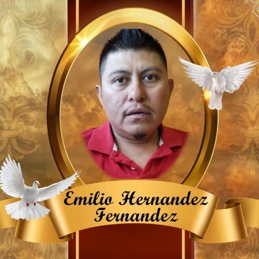 Emilio Hernandez Fernandez Profile Photo